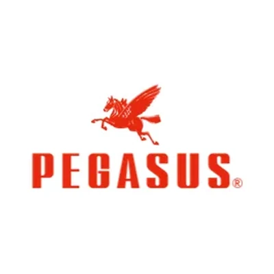 PEGASUS Co.Ltd