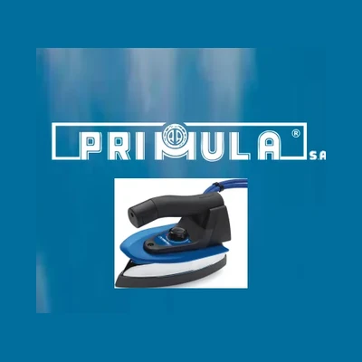 Primula